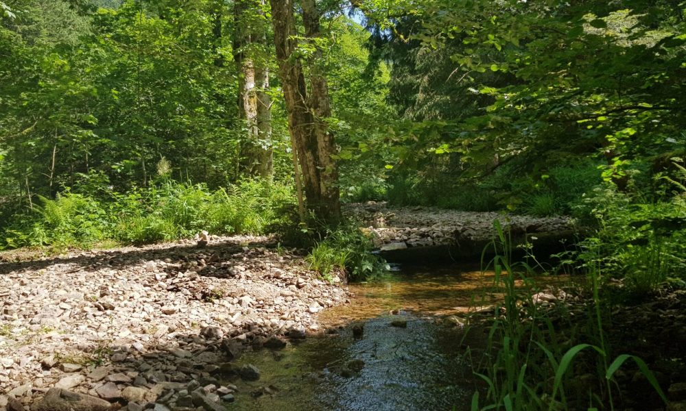 20190626_152911